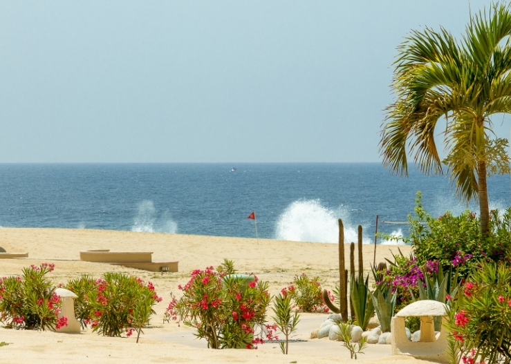 Terrasol 116_thecaboharrisons Terrasol Unit 116