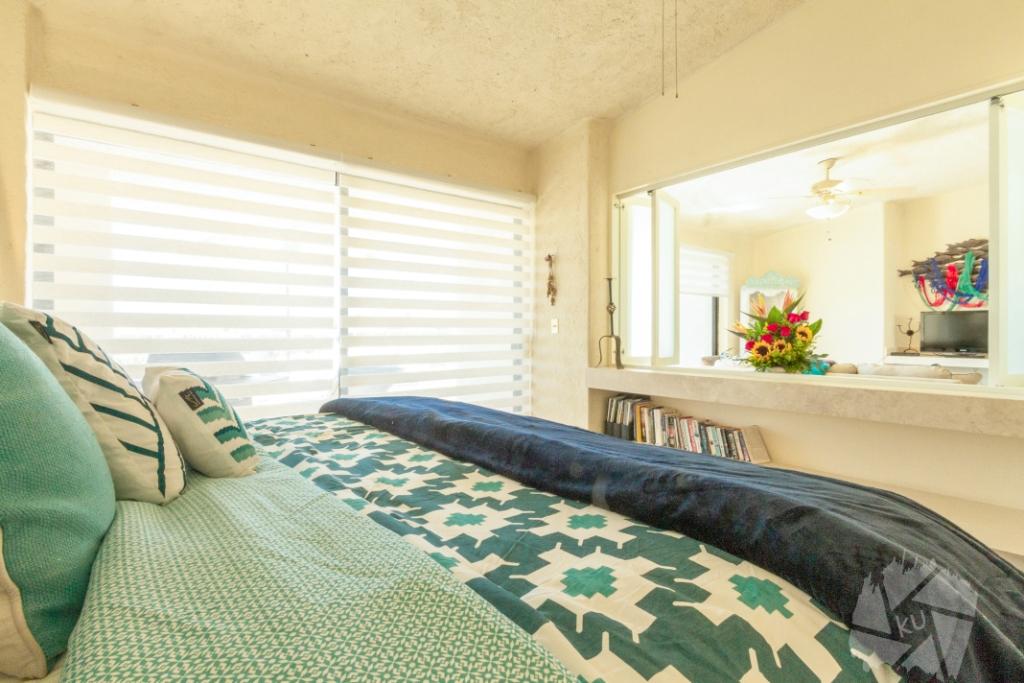 Terrasol 236 Craig 2018