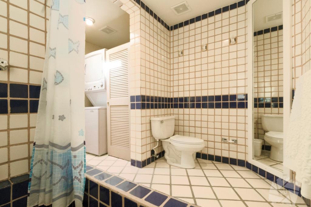 Terrasol 236 Craig 2018