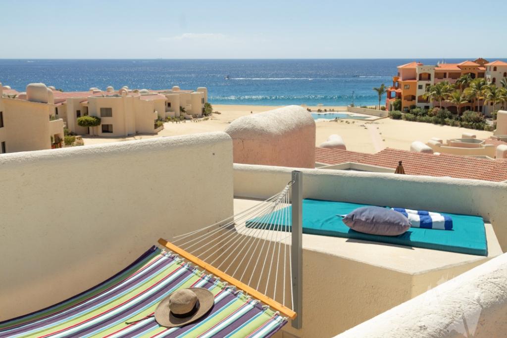 Terrasol 236 Craig 2018