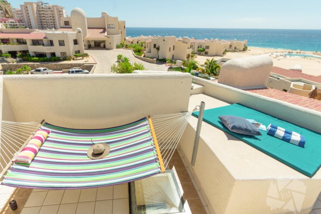 Terrasol 236 Craig 2018